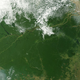 Illustration for article titled Earth's Tropical Rainforests Could Look Completely Different By the End of the Century